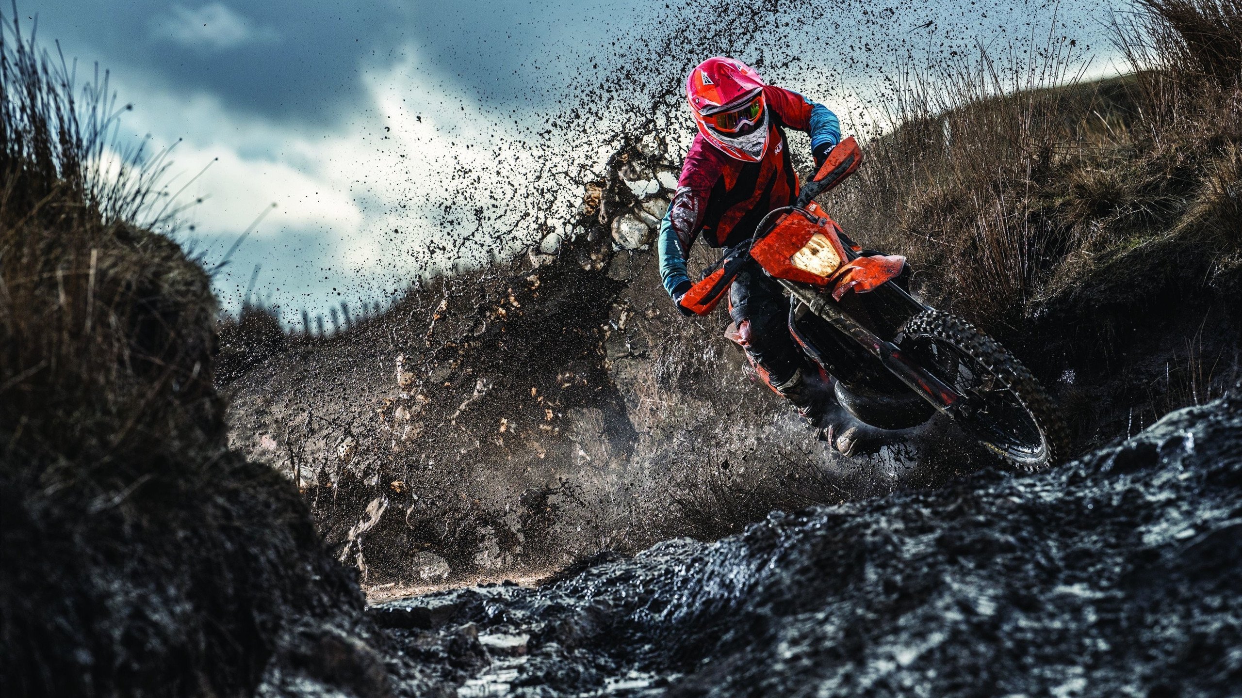 法国新星崭露头角，未来可期